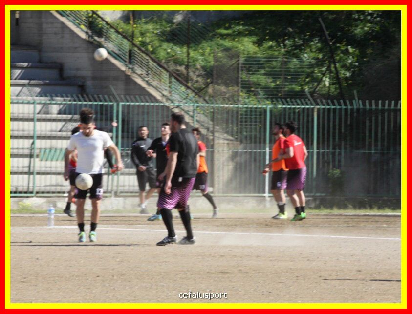 190310 Cephal_Torrenov 010_tn.jpg